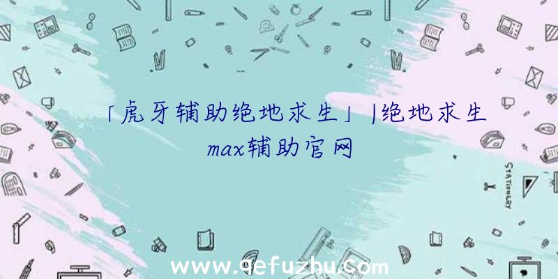 「虎牙辅助绝地求生」|绝地求生max辅助官网